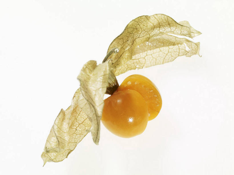 无人,横图,室内,特写,白天,白色背景,正面,餐桌,桌子,浆果,水果,阴影,新鲜,反射,影子,灯笼果,生食,食品,果实,食物,两个,黄色,摄影,有机食品,绿色食品,影棚,餐台,秘鲁苦蘵,小果酸浆,醋栗,彩图,影棚拍摄,拍摄