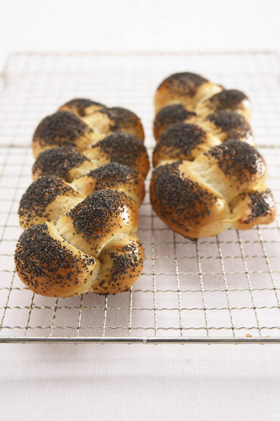 点心,面包,无人,竖图,俯视,室内,特写,白天,白色背景,烘焙,餐桌,桌子,金属制品,阴影,反射,金属,影子,食品,面点,架子,食物,糕点,两个,一个,摄影,影棚,单个,餐台,罂粟籽,冷却,冷却架,辫子面包,阿芙蓉,彩图,高角度拍摄,影棚拍摄,拍摄,米囊,御米