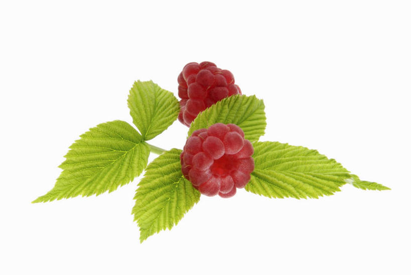 无人,横图,俯视,室内,特写,白天,白色背景,水果,叶子,阴影,朦胧,模糊,新鲜,反射,影子,生食,食品,果实,绿叶,食物,嫩叶,摄影,有机食品,绿色食品,影棚,山梅花,太平花,叶,叶片,彩图,高角度拍摄,影棚拍摄,拍摄