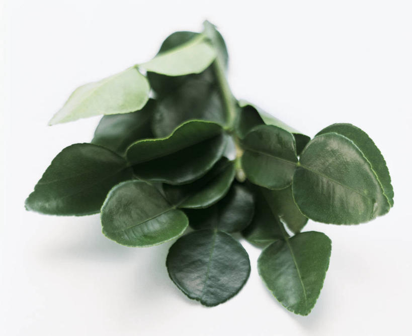 无人,横图,俯视,室内,特写,白天,白色背景,柠檬,水果,叶子,阴影,新鲜,反射,影子,青柠檬,生食,食品,果实,绿叶,食物,嫩叶,摄影,有机食品,绿色食品,影棚,叶,叶片,益母果,柠果,彩图,高角度拍摄,影棚拍摄,拍摄