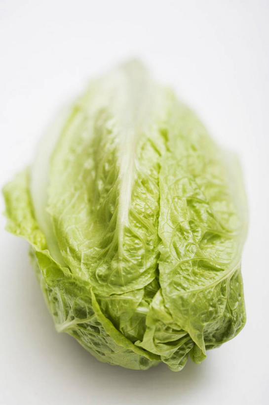 无人,竖图,俯视,室内,特写,白天,白色背景,植物,桌面,桌子,蔬菜,叶子,阴影,新鲜,反射,木制,纹理,影子,生菜,莴苣,食品,绿叶,食物,绿色,木制品,嫩叶,摄影,有机食品,绿色食品,影棚,肌理,春菜,鹅仔菜,莴仔菜,千金菜,叶用莴苣,叶,叶片,叶脉,彩图,高角度拍摄,影棚拍摄,拍摄,罗马生菜