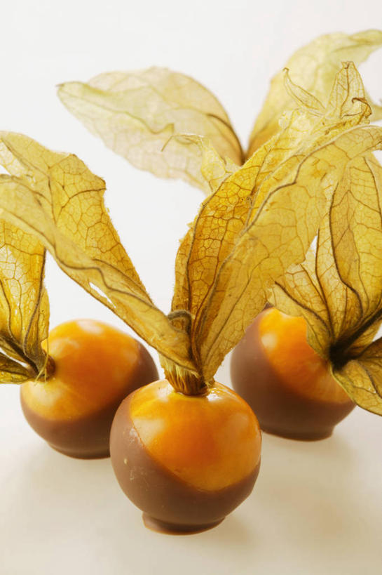 无人,竖图,俯视,室内,特写,白天,餐桌,桌子,浆果,水果,阴影,新鲜,反射,影子,灯笼果,生食,食品,果实,三颗,食物,黄色,有机食品,绿色食品,餐台,秘鲁苦蘵,小果酸浆,醋栗,彩图,高角度拍摄