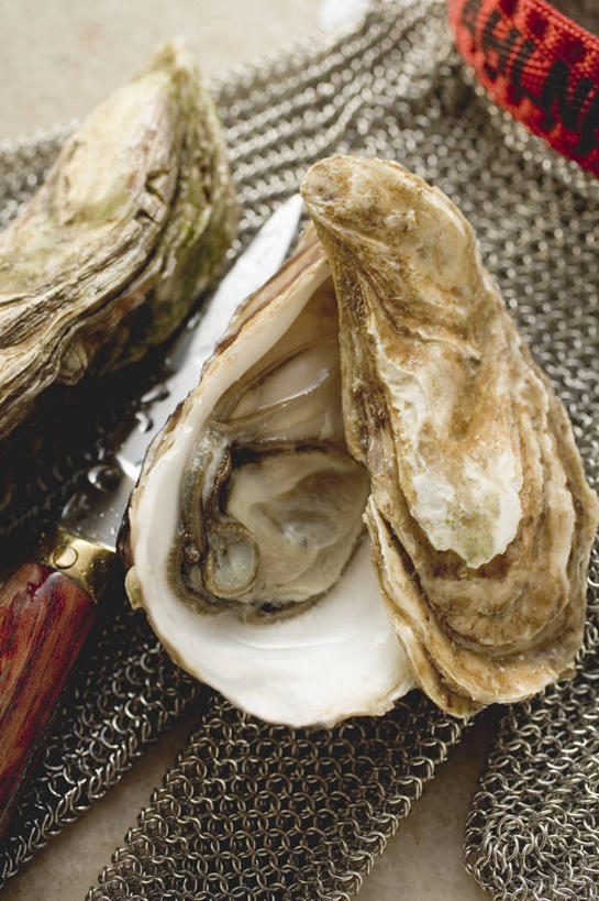 海鲜,无人,竖图,俯视,室内,特写,白天,安全,餐桌,桌子,一把,阴影,反射,工具,影子,刀具,防护,牡蛎,水产,海洋生物,手套,刀,餐台,保护,生蚝,水生动物,海产品,保险,水生物,海底动物,牡蛎刀,保全,周全,安稳,安定,防护手套,平安,彩图,高角度拍摄