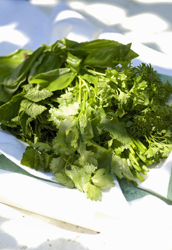 无人,竖图,俯视,室内,特写,白天,植物,餐桌,桌子,叶子,一堆,许多,阴影,堆叠,堆积,反射,布料,影子,绿叶,草药,药草,布纹,中药,桌布,餐巾,台布,嫩叶,餐台,堆,药材,中草药,中药材,本草,叶,叶片,彩图,高角度拍摄