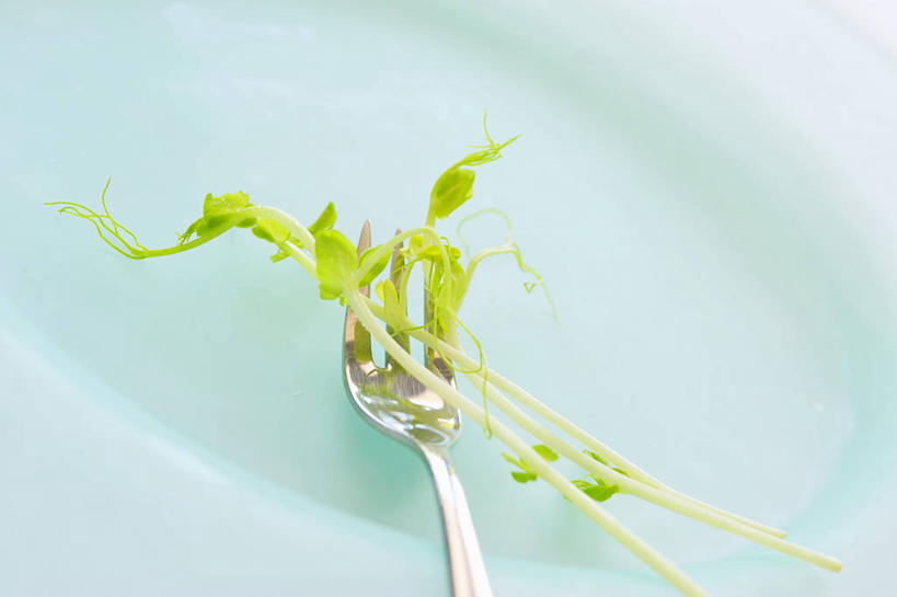 无人,横图,俯视,室内,特写,白天,植物,豆,蔬菜,餐具,叶子,一把,阴影,朦胧,模糊,新鲜,反射,叉子,碟子,盘,影子,豆类,豆子,黑豆,食品,绿叶,食物,盘子,碟,嫩叶,有机食品,绿色食品,餐叉,豆科,乌豆,乌大豆,叶,叶片,进餐用具,彩图,高角度拍摄