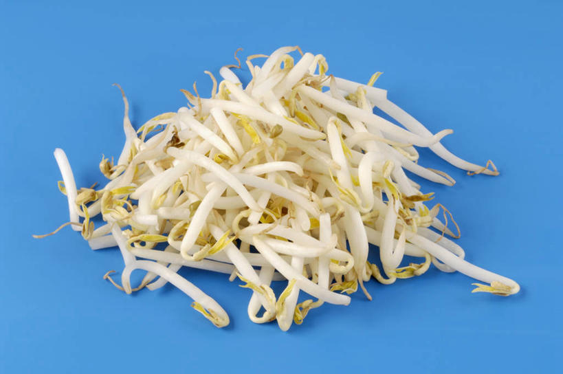 无人,横图,俯视,室内,特写,白天,蔬菜,一堆,许多,阴影,堆叠,堆积,蓝色背景,新鲜,反射,影子,豆芽,黄豆芽,食品,食物,摄影,有机食品,绿色食品,影棚,堆,豆芽菜,芽苗菜,彩图,高角度拍摄,影棚拍摄,拍摄