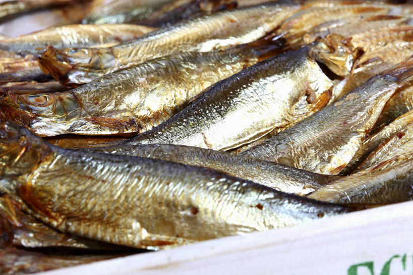 海鲜,无人,横图,俯视,室内,特写,白天,桌面,桌子,一堆,许多,阴影,堆叠,堆积,反射,木制,影子,肉,鱼肉,很多,水产,肉类,海洋生物,木制品,堆,鲱鱼,水生动物,海产品,水生物,肉食,海底动物,太平洋鲱鱼,彩图,高角度拍摄