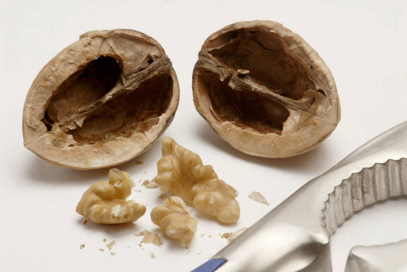 无人,横图,俯视,室内,特写,白天,白色背景,桌面,桌子,阴影,反射,木制,工具,钳子,影子,核桃,坚果,果实,木制品,干果,摄影,影棚,五金,胡桃,核桃钳,胡桃钳,羌桃,胡桃夹,彩图,高角度拍摄,影棚拍摄,拍摄