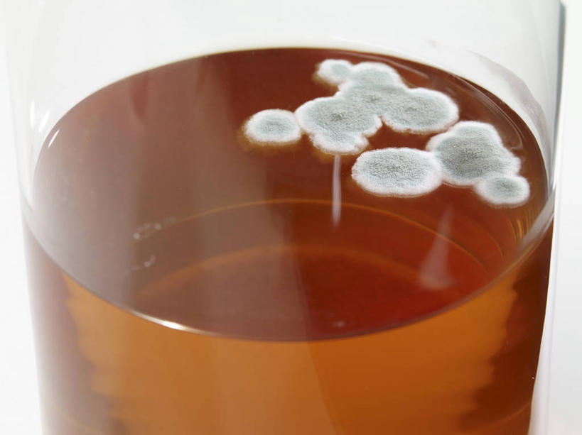 果汁,无人,横图,俯视,室内,特写,白天,白色背景,桌面,桌子,苹果,杯子,阴影,反射,木制,影子,饮品,玻璃制品,饮料,一个,木制品,水杯,苹果汁,摄影,影棚,单个,腐烂,可口,腐败,腐臭,腐朽,适口,玻璃杯,彩图,高角度拍摄,影棚拍摄,拍摄