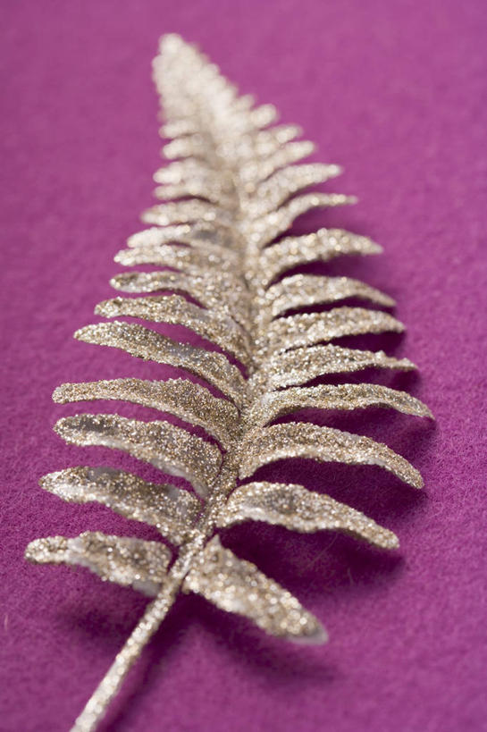 无人,竖图,俯视,室内,特写,白天,植物,餐桌,桌子,叶子,一片,阴影,紫色背景,装饰,反射,影子,绿叶,装饰品,绿色,自然,装饰物,嫩叶,摄影,影棚,生长,成长,餐台,华丽,修饰,蕨类,点缀,蕨类植物,饰物,衬托,美观,雅致,雅观,叶,叶片,彩图,高角度拍摄,影棚拍摄,拍摄,宽蕨,银蕨