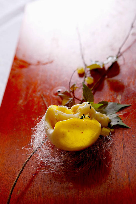 无人,竖图,俯视,室内,特写,白天,餐桌,桌子,猕猴桃,水果,一堆,阴影,堆叠,堆积,新鲜,反射,鱼,影子,肉,生食,鱼肉,食品,果实,肉类,鱼类,食物,有机食品,绿色食品,餐台,堆,肉食,乌鱼,黑鱼,蛇头鱼,乌鳢,奇异果,猕猴梨,彩图,高角度拍摄