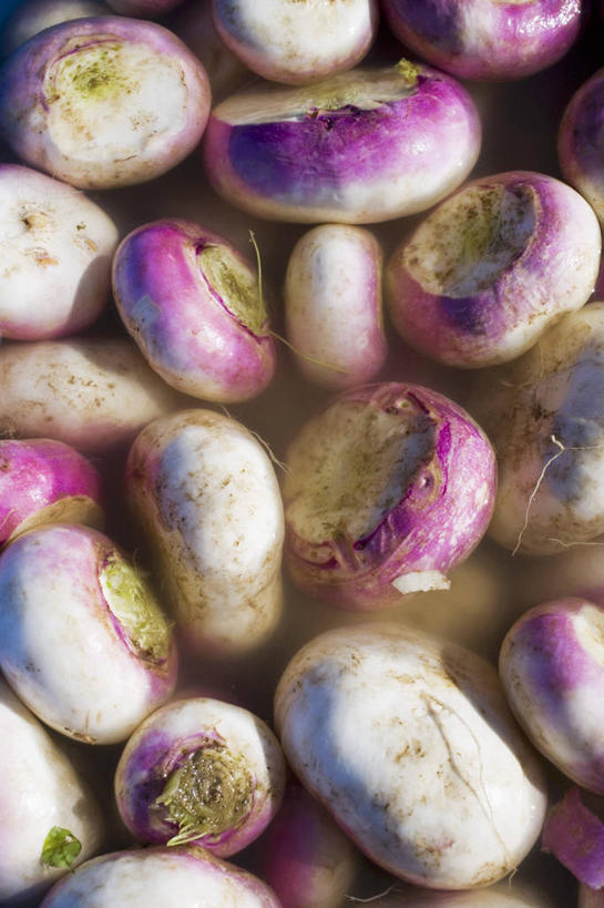 无人,竖图,俯视,室内,特写,白天,餐桌,桌子,萝卜,蔬菜,一堆,许多,阴影,堆叠,堆积,新鲜,反射,影子,食品,很多,食物,有机食品,绿色食品,水萝卜,餐台,堆,彩图,高角度拍摄