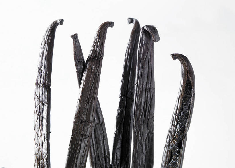 无人,横图,室内,特写,白天,白色背景,正面,植物,餐桌,桌子,许多,阴影,反射,影子,调味,香料,佐料,草药,药草,中药,黑色,清热,摄影,影棚,餐台,配料,药材,中草药,香草兰,中药材,本草,作料,解毒,婆绒花,山薄荷,石母草,彩图,影棚拍摄,拍摄