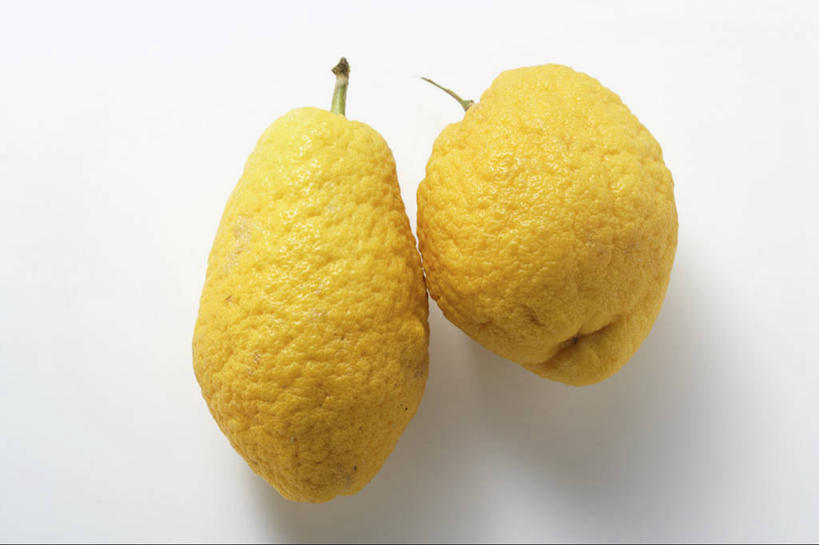 无人,横图,俯视,室内,特写,白天,白色背景,餐桌,桌子,水果,阴影,新鲜,反射,影子,生食,食品,果实,食物,两个,黄色,摄影,有机食品,绿色食品,影棚,餐台,枸橼子,香橼,拘橼,彩图,高角度拍摄,影棚拍摄,拍摄