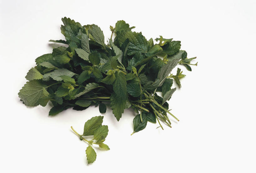 无人,横图,俯视,室内,特写,白天,白色背景,植物,桌面,桌子,叶子,阴影,反射,木制,纹理,影子,绿叶,草药,药草,中药,绿色,木制品,嫩叶,摄影,影棚,药材,中草药,蜜蜂花,中药材,本草,肌理,鼻血草,叶,叶片,叶脉,彩图,高角度拍摄,影棚拍摄,拍摄