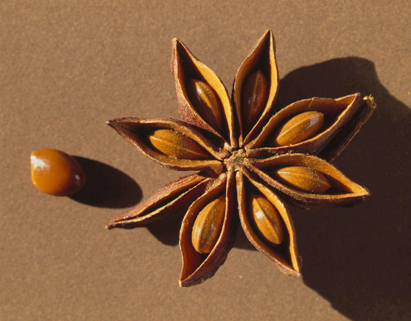 无人,横图,俯视,室内,特写,白天,桌面,桌子,阴影,反射,木制,影子,调味,香料,佐料,一个,木制品,茴香,摄影,影棚,褐色背景,单个,八角,八角茴香,大茴香,八月珠,舶茴香,大料,作料,彩图,高角度拍摄,影棚拍摄,拍摄