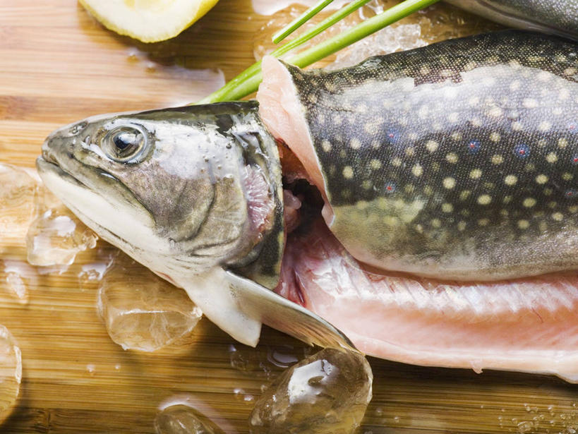 海鲜,三文鱼,无人,横图,俯视,室内,特写,白天,桌面,桌子,鲑鱼,阴影,反射,木制,影子,冰,肉,鱼肉,冰块,冷冻,水产,肉类,海洋生物,木制品,寒冷,冷藏,大马哈鱼,冰冷,水生动物,海产品,水生物,肉食,海底动物,撒蒙鱼,萨门鱼,冰海之皇,鲑,马哈鱼,麻哈鱼,大麻哈鱼,保鲜,彩图,高角度拍摄,红点鲑