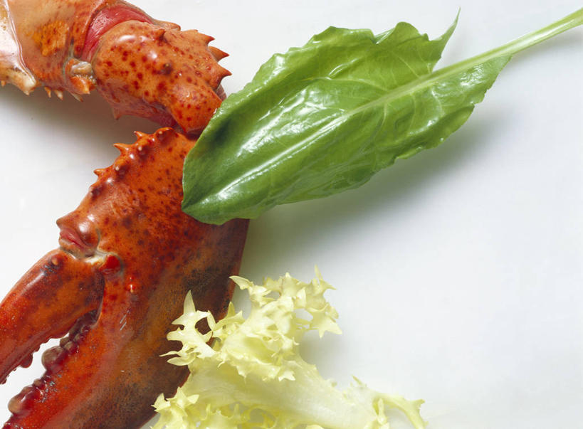 海鲜,龙虾,无人,横图,俯视,室内,特写,白天,白色背景,餐桌,桌子,蔬菜,阴影,新鲜,反射,影子,虾,食品,水产,海洋生物,食物,摄影,有机食品,绿色食品,影棚,餐台,水生动物,海产品,水生物,海底动物,芝麻菜,德国芥菜,火箭生莱,芸芥,芝麻叶,紫花南芥,彩图,高角度拍摄,影棚拍摄,拍摄