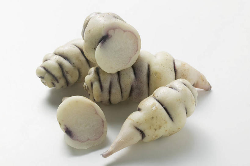 无人,横图,俯视,室内,特写,白天,白色背景,餐桌,桌子,蔬菜,切开,阴影,新鲜,反射,影子,食品,食物,切,四个,摄影,有机食品,绿色食品,影棚,餐台,剖面,切面,酸模,野菠菜,皱叶羊蹄,体贴,彩图,高角度拍摄,影棚拍摄,拍摄