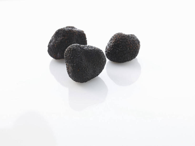 无人,横图,俯视,室内,特写,白天,白色背景,餐桌,桌子,蔬菜,阴影,新鲜,反射,影子,菌菇,食品,松露,菌类,食物,三个,黑色,食用菌,摄影,有机食品,绿色食品,影棚,餐台,黑松露,彩图,高角度拍摄,影棚拍摄,拍摄