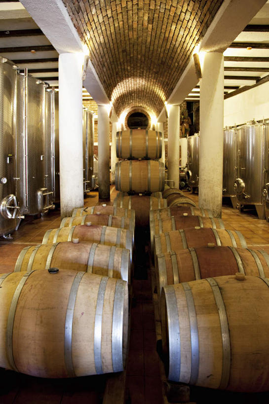 无人,竖图,室内,白天,正面,度假,美景,城市风光,城市,欧洲,克罗地亚,一排,阴影,整齐,光线,木桶,桶,影子,柱子,景观,灯光,娱乐,酒窖,排列,容器,享受,休闲,景色,放松,储藏,储存,队列,克罗地亚共和国,彩图,贮存