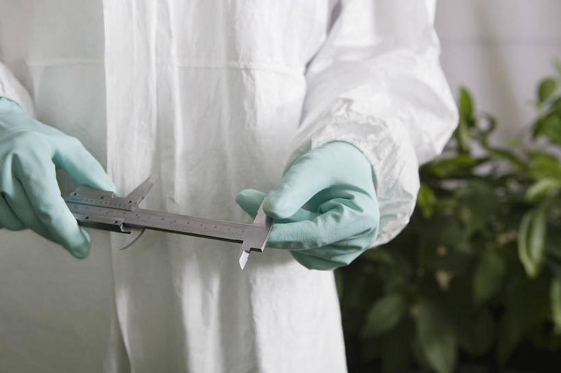 西方人,手,一个人,站,横图,室内,特写,白天,正面,安全,植物,叶子,欧洲,欧洲人,双手,仅一个男性,仅一个人,仅一个中年男性,握,服装,朦胧,模糊,测量,刻度,绿叶,防护,拿,拿着,一个,衣服,绿色,白色,自然,尺,手套,站着,手部,嫩叶,握着,服饰,生长,单个,成长,测量工具,保护,精密,尺子,衣着,白大褂,游标卡尺,穿着,精度,精准,保险,精细,实验服,量具,量仪,保全,周全,安稳,安定,卡尺,标卡尺,量爪,主尺,深度尺,防护手套,衣饰,平安,游标尺,男人,男性,中年男性,白种人,叶,叶片,站立,半身,彩图,实验衣