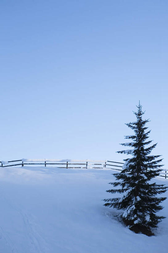 无人,竖图,室外,白天,正面,旅游,度假,美景,雪,植物,大雪,松树,德国,欧洲,一棵,阴影,光线,影子,积雪,景观,雪景,冬季,冬天,娱乐,树,树木,蓝色,绿色,蓝天,天空,阳光,自然,天,享受,休闲,景色,放松,寒冷,生长,晴朗,成长,西欧,自然风光,坚定,万里无云,德意志联邦共和国,长寿,严寒,贞洁,巴伐利亚,巴伐利亚州,拜恩州,拜恩自由州,晴空,晴空万里,彩图,上巴伐利亚行政区