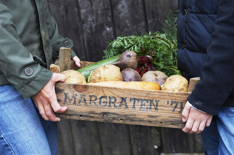 西方人,儿童,中年人,两个人,家庭,母亲,女儿,站,捧,交叉,横图,室外,白天,侧面,纯洁,竹子,黄瓜,芹菜,蔬菜,土豆,水果,欧洲,欧洲人,一堆,许多,堆叠,堆积,竹制,服装,裤子,新鲜,编织,木制,英文,标志,篮子,文字,字符,字母,墙,生食,食品,果实,牛仔裤,休闲装,标识,蔬果,相视,墙壁,墙面,食物,小孩,衣服,木制品,竹篮,站着,休闲,温暖,温馨,母女,一家人,面对面,休闲服,海藻,可爱,母爱,童年,童趣,服饰,有机食品,绿色食品,竹条,堆,对视,英文字母,海草,交织,和睦,竹制品,互视,相对,童真,烂漫,无邪,相看,穿插,浒苔,苔菜,苔条,条浒苔,天真,女孩,女人,女性,中年女性,白种人,孩子,芋艿,药芹,洋芋,水芹,山药蛋,青瓜,马铃薯,胡瓜,旱芹,端,端着,捧着,手捧,站立,半身,彩图,融洽,女生