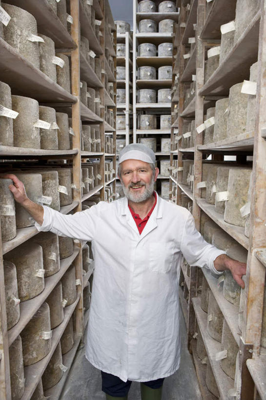 奶酪,西方人,一个人,店员,站,竖图,室内,白天,正面,工作服,制服,欧洲,欧洲人,仅一个男性,仅一个人,干酪,起司,芝士,营养,仓库,注视,货架,架子,扶,观察,看,站着,仅一个老年男性,营业员,乳酪,观看,察看,乳制品,扶着,关注,陈列架,发酵,超市货架,销售人员,工作制服,老年男性,男人,男性,白种人,售货员,站立,半身,彩图,工作套服,堆栈