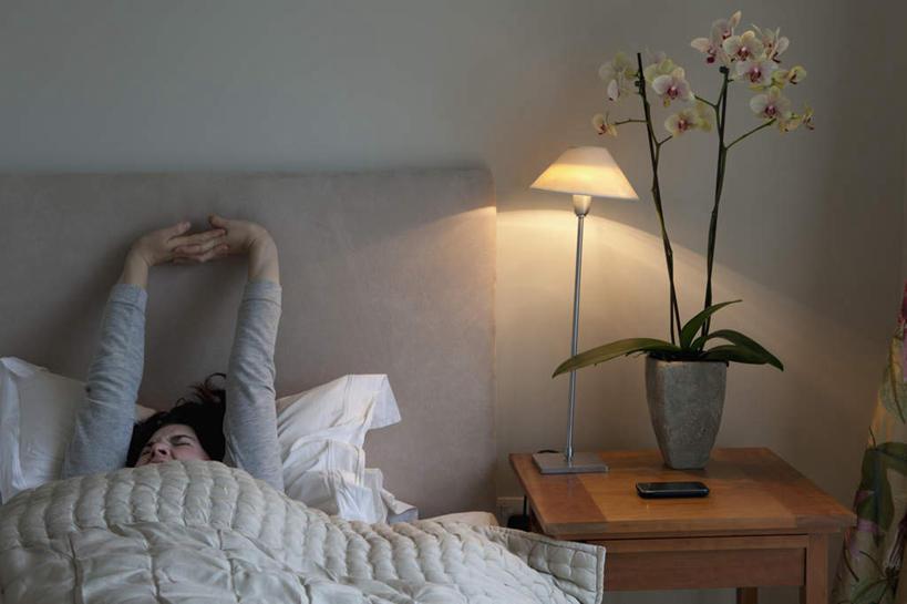 西方人,一个人,躺,举,闭眼,横图,室内,白天,正面,植物,床,靠垫,卧室,桌面,桌子,照明,欧洲,欧洲人,仅一个年轻女性,仅一个女性,仅一个人,握,服装,木制,盆栽,墙,双人床,灯光,床单,靠枕,盆景,休闲装,被子,墙壁,墙面,灯,衣服,绿色,白色,自然,木制品,灯具,垫子,枕头,托,休闲,休闲服,握着,服饰,生长,成长,照亮,被单,照明设备,床头灯,卧着,年轻女性,女人,女性,白种人,闭眼睛,闭着眼,闭着眼睛,举起,举手,举着,躺着,卧,向上举,向上伸,向上托,半身,彩图,睡房,卧房