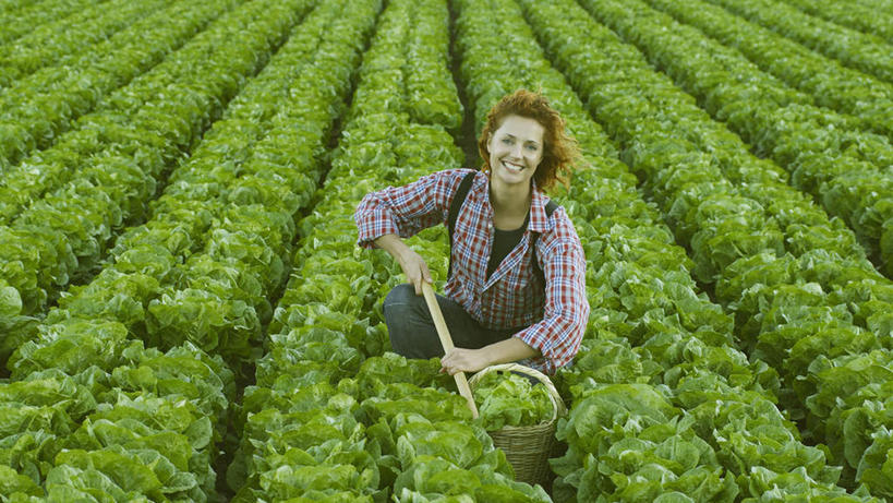 西方人,一个人,农田,蹲,笑,交叉,微笑,露齿笑,横图,俯视,室外,白天,庄稼,农作物,竹子,蔬菜,欧洲,欧洲人,仅一个女性,仅一个人,一排,握,竹制,服装,新鲜,整齐,编织,棒子,篮子,莴苣,莴笋,食品,拿,拿着,注视,休闲装,食物,排列,衣服,竹篮,观察,看,仅一个中年女性,休闲,休闲服,握着,服饰,有机食品,绿色食品,观看,竹条,交织,察看,竹制品,队列,关注,香笋,千金菜,穿插,女人,女性,中年女性,白种人,蹲着,彩图,高角度拍摄,全身,耕地,庄稼田