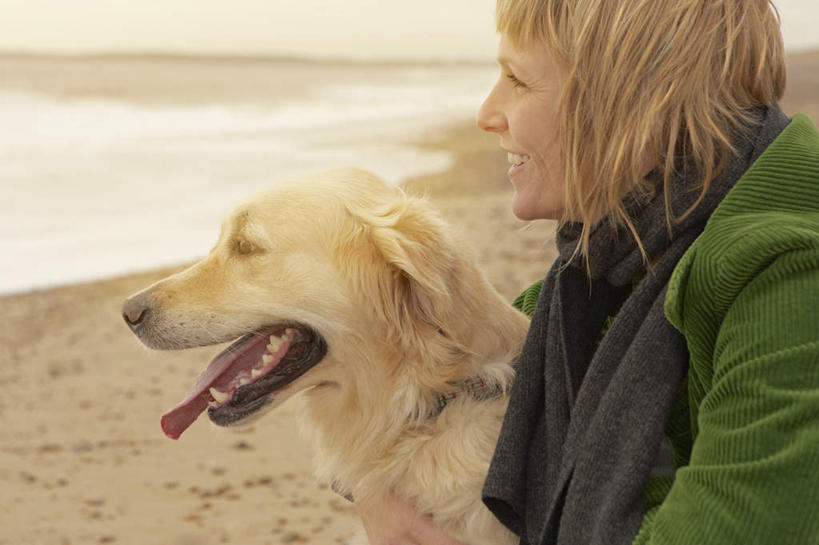 西方人,一个人,笑,微笑,露齿笑,横图,室外,白天,侧面,海浪,海洋,沙滩,宠物,狗,欧洲,欧洲人,仅一个女性,仅一个人,服装,装饰,沙子,海岸,浪花,沙地,注视,休闲装,金毛犬,一只,衣服,海水,动物,围巾,观察,看,仅一个中年女性,休闲,温暖,休闲服,可爱,服饰,金毛,围脖,观看,保暖,华丽,点缀,察看,金毛猎犬,御寒,关注,寻回犬,海景,金毛寻回犬,忠诚,衬托,美观,雅致,雅观,金毛狗,金毛寻回狗,寻回狗,女人,女性,中年女性,白种人,大海,风浪,海,海水的波动,海滩,近岸浪,涌浪,犬,半身,彩图