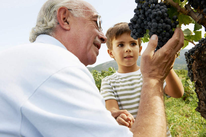 西方人,儿童,老年人,两个人,家庭,祖父,果园,站,蹲,笑,摸,微笑,露齿笑,横图,室外,白天,正面,衬衫,纯洁,草地,草坪,田园,植物,葡萄,水果,欧洲,欧洲人,抚摸,阴影,服装,新鲜,光线,眼镜,影子,云,云朵,生食,食品,果实,云彩,注视,休闲装,葡萄园,架子,草,食物,小孩,衣服,蓝色,绿色,白云,蓝天,天空,阳光,庄园,天,观察,看,站着,休闲,温暖,温馨,一家人,休闲服,可爱,童年,童趣,服饰,有机食品,绿色食品,晴朗,爷爷,观看,祖孙,老花镜,支撑,固定,和睦,察看,关注,葡萄架,童真,烂漫,无邪,外公,外祖父,外孙,外孙子,远视眼镜,天真,老年男性,男孩,男人,男性,白种人,孩子,孙子,晴空,山葫芦,蒲桃,草龙珠,触摸,蹲着,接触,站立,半身,彩图,衬衣,融洽,男生