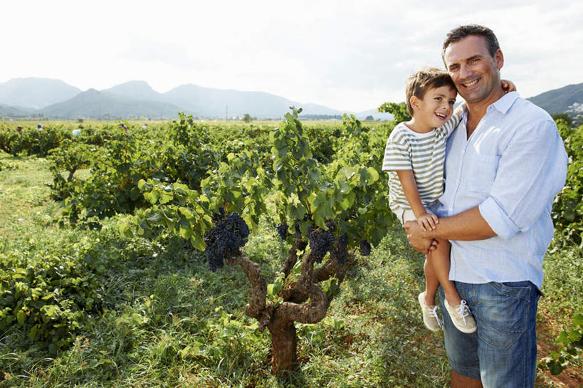 西方人,儿童,中年人,两个人,家庭,父亲,儿子,果园,站,抱,笑,微笑,露齿笑,横图,室外,白天,正面,衬衫,纯洁,草地,草坪,山,田园,植物,葡萄,水果,欧洲,欧洲人,阴影,服装,裤子,新鲜,光线,影子,山峰,生食,食品,果实,山峦,注视,牛仔裤,休闲装,葡萄园,架子,草,食物,小孩,衣服,绿色,阳光,庄园,观察,看,站着,休闲,温暖,温馨,父子,一家人,休闲服,父爱,可爱,童年,童趣,服饰,有机食品,绿色食品,抱着,观看,支撑,固定,和睦,察看,搂着,关注,葡萄架,童真,烂漫,无邪,天真,男孩,男人,男性,中年男性,白种人,孩子,山葫芦,蒲桃,草龙珠,搂,搂抱,站立,半身,彩图,衬衣,融洽,男生