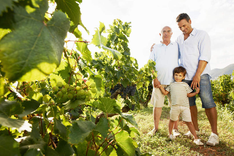 西方人,儿童,中年人,老年人,三个人,父亲,儿子,祖父,三代同堂,果园,站,抱,笑,微笑,横图,室外,白天,正面,衬衫,纯洁,草地,草坪,田园,植物,葡萄,水果,欧洲,欧洲人,阴影,服装,裤子,新鲜,光线,影子,生食,食品,果实,注视,牛仔裤,休闲装,祖孙三代,葡萄园,架子,草,食物,小孩,衣服,绿色,阳光,庄园,观察,看,站着,休闲,温暖,温馨,父子,休闲服,父爱,可爱,童年,童趣,服饰,有机食品,绿色食品,爷爷,抱着,观看,祖孙,支撑,固定,和睦,察看,搂着,关注,手插袋,单手插袋,葡萄架,童真,烂漫,无邪,外公,外祖父,外孙,外孙子,单手抄兜,单手放兜,天真,老年男性,男孩,男人,男性,中年男性,白种人,孩子,全家福,孙子,山葫芦,蒲桃,草龙珠,插兜,搂,手插兜,手放口袋,站立,彩图,全身,衬衣,融洽,男生,手抄兜,爸爸,多代同堂