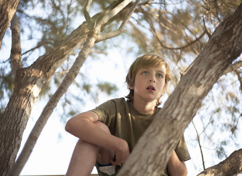 西方人,儿童,一个人,坐,攀登,横图,室外,白天,仰视,纯洁,植物,欧洲,欧洲人,仅一个男性,仅一个人,握,阴影,服装,光线,影子,注视,休闲装,树,树干,树木,小孩,衣服,绿色,灰色,阳光,自然,扶,观察,看,仅一个小孩,休闲,休闲服,可爱,童年,童趣,握着,服饰,生长,成长,观看,察看,扶着,关注,童真,烂漫,无邪,天真,男孩,男人,男性,白种人,孩子,攀爬,坐着,半身,彩图,低角度拍摄,攀缘,男生