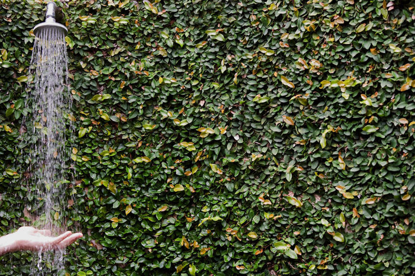 西方人,一个人,站,横图,室外,白天,正面,水,植物,欧洲,欧洲人,仅一个女性,仅一个人,飞溅,环保,溅,液体,水滴,防护,花洒,莲蓬头,水珠,树,树木,绿色,自然,站着,仅一个中年女性,生长,成长,美好,美妙,喷洒,间隔,喷雾头,美观,雅观,绿篱,生篱,树篱,植篱,女人,女性,中年女性,白种人,清洗,洗涤,站立,半身,彩图