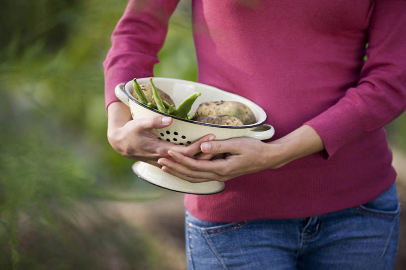 西方人,一个人,农田,站,捧,横图,室外,白天,正面,庄稼,农作物,草地,草坪,植物,豆,蔬菜,土豆,欧洲,欧洲人,仅一个年轻女性,仅一个女性,仅一个人,许多,阴影,堆叠,服装,裤子,朦胧,模糊,新鲜,重叠,光线,影子,陶瓷,豆类,豆子,食品,陶瓷制品,牛仔裤,休闲装,草,食物,一个,衣服,绿色,阳光,容器,碗,站着,休闲,休闲服,服饰,有机食品,绿色食品,单个,储藏,储存,豆科,馍馍蛋,赤花蔓豆,红花菜豆,看花豆,年轻女性,女人,女性,白种人,洋芋,山药蛋,马铃薯,端,端着,捧着,手捧,站立,半身,彩图,耕地,庄稼田,贮存