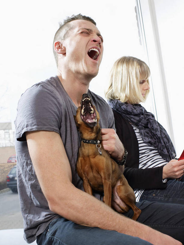 西方人,两个人,坐,闭眼,竖图,室内,白天,正面,爱情,阅读,窗户,宠物,狗,杂志,欧洲,欧洲人,学习,阴影,服装,反射,影子,吉娃娃,浪漫,注视,休闲装,玻璃窗,一只,衣服,动物,低头,观察,看,张嘴,休闲,温暖,温馨,休闲服,恩爱,可爱,读书,浏览,恋人,服饰,观看,和睦,察看,哈欠,关注,张大嘴巴,忠诚,芝娃娃,奇娃娃,吉娃娃犬,齐花花,男人,男性,女人,女性,中年男性,中年女性,白种人,情侣,张开嘴,犬,闭眼睛,闭着眼,闭着眼睛,坐着,半身,彩图,伴侣,融洽