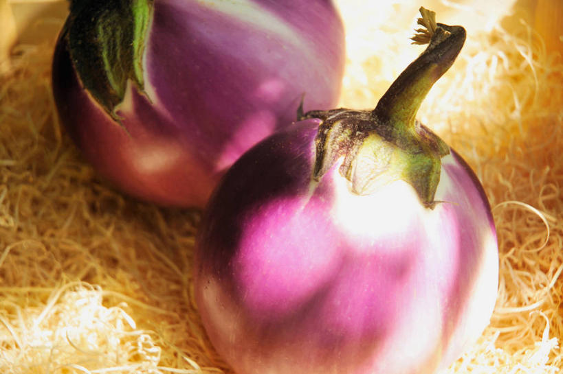 无人,横图,俯视,室外,特写,白天,茄子,蔬菜,阴影,新鲜,光线,影子,食品,干草,食物,两个,紫色,阳光,草垛,有机食品,绿色食品,干草垛,落苏,酪酥,昆仑瓜,矮瓜,彩图,高角度拍摄,袖珍茄子