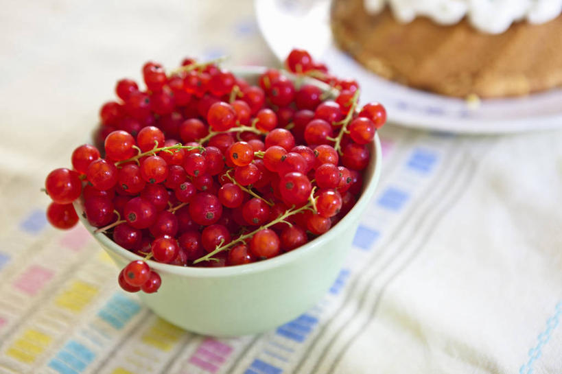 点心,无人,横图,俯视,室内,特写,白天,下午茶,餐桌,桌子,浆果,餐具,水果,阴影,朦胧,模糊,新鲜,反射,布料,碟子,盘,影子,陶瓷,生食,食品,果实,陶瓷制品,布纹,桌布,食物,糕点,一个,红色,盘子,餐巾,容器,碟,台布,碗,有机食品,绿色食品,单个,餐台,储藏,储存,红醋栗,醋栗,餐桌布,彩图,高角度拍摄,红茶藨子,红加仑,贮存,蛋糕