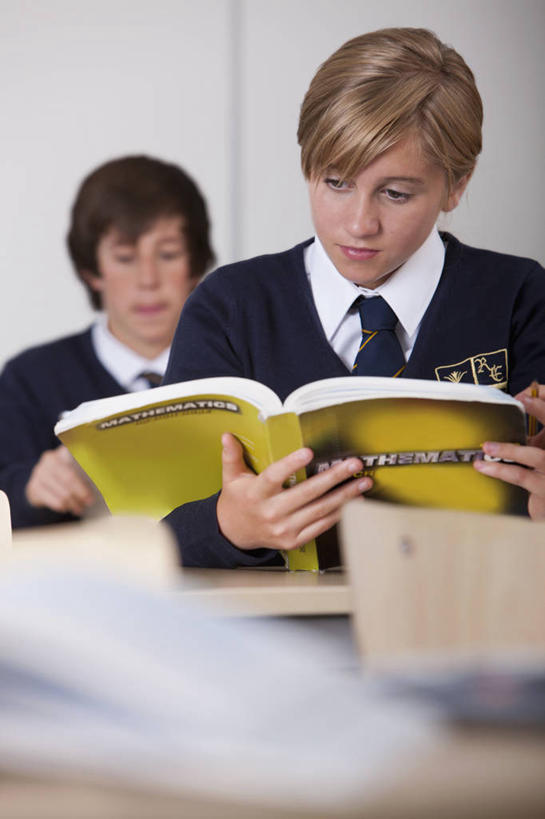 西方人,儿童,两个人,伙伴,朋友,学校,竖图,室内,白天,正面,友谊,纯洁,桌子,书籍,欧洲,欧洲人,阴影,反射,影子,墙,书桌,校园,墙壁,墙面,小孩,白色,课桌,书本,教室,同学,可爱,童年,童趣,课本,教材,课堂,校友,童真,讲义,烂漫,无邪,同窗,学友,天真,友情,男孩,男人,男性,女孩,女人,女性,白种人,书,图书,半身,彩图,男生,女生