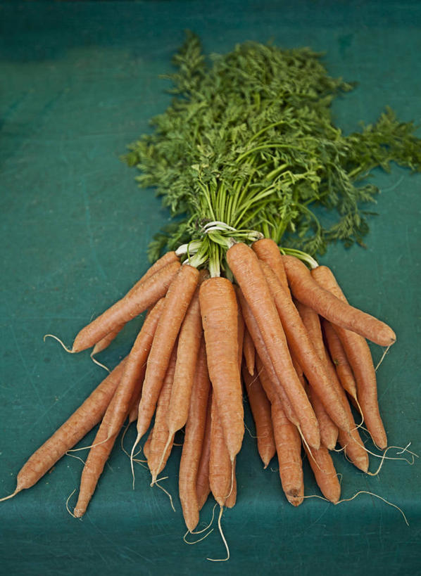 无人,竖图,俯视,室内,特写,白天,萝卜,胡萝卜,蔬菜,叶子,一堆,许多,阴影,堆叠,堆积,新鲜,反射,影子,食品,绿叶,很多,食物,橙色,嫩叶,有机食品,绿色食品,堆,黄萝卜,番萝卜,叶,叶片,红萝卜,甘荀,彩图,高角度拍摄,丁香萝卜,胡芦菔金,金笋