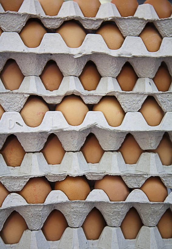 无人,竖图,室内,特写,白天,正面,阴影,环保,反射,蛋格,影子,蛋,鸡蛋,能源,回收,资源,利用,低碳,循环,草鸡蛋,蛋托,蛋盒,卵,持续,彩图