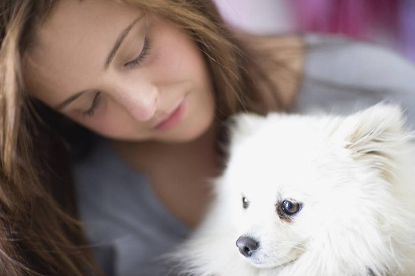 西方人,脸,头,脸颊,头发,一个人,坐,笑,微笑,横图,室内,特写,白天,正面,宠物,狗,欧洲,欧洲人,仅一个年轻女性,仅一个女性,仅一个人,阴影,服装,朦胧,模糊,反射,影子,棕色,注视,休闲装,狐狸犬,肩膀,一只,衣服,白色,动物,低头,观察,看,休闲,休闲服,可爱,服饰,观看,察看,关注,忠诚,日本狐狸犬,日本尖嘴犬,日本丝毛犬,银狐犬,年轻女性,女人,女性,白种人,头部,长发,直发,脸部,脸蛋,面部,犬,坐着,半身,彩图