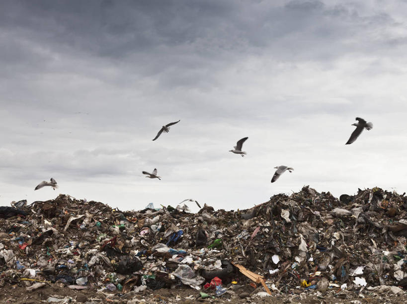 无人,横图,室外,白天,仰视,鸟,意大利,欧洲,一堆,许多,飞翔,伸展,张开,展翅,堆叠,堆积,飞行,翅膀,鸟类,云,云朵,垃圾,很多,翱翔,云彩,注视,飞,灰色,白云,天空,天,观察,看,晴朗,观看,堆,察看,关注,南欧,张开翅膀,意大利共和国,首府,波伦亚,博洛尼亚,柱廊之城,渣滓,展开翅膀,艾米利亚.罗马涅,艾米利亚.罗马涅大区,晴空,半身,彩图,低角度拍摄