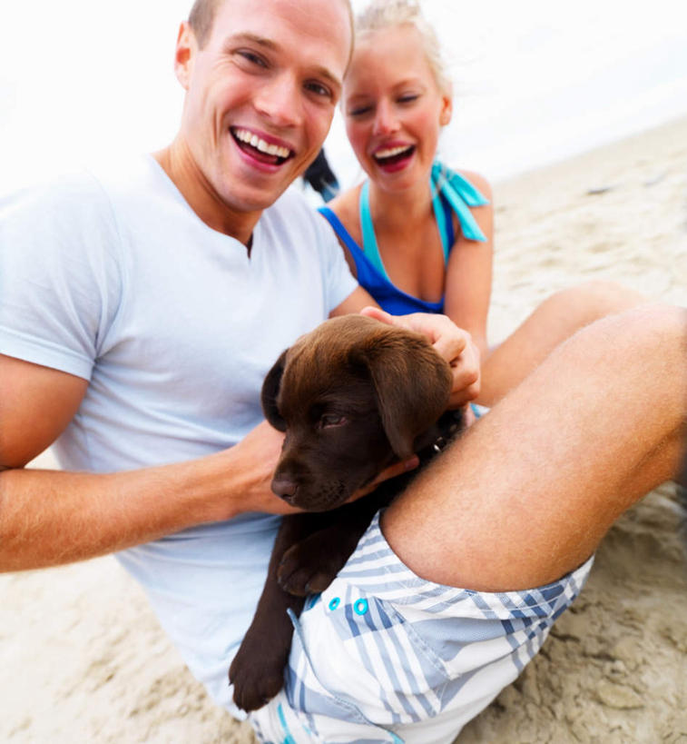 西方人,两个人,坐,笑,摸,微笑,露齿笑,竖图,室外,白天,侧面,爱情,沙滩,宠物,狗,欧洲,欧洲人,抚摸,服装,朦胧,模糊,沙子,海岸,沙地,浪漫,拉布拉多,扭头,注视,休闲装,拉布拉多猎犬,一只,衣服,蓝色,蓝天,天空,动物,天,观察,看,转头,休闲,温暖,温馨,休闲服,恩爱,可爱,恋人,服饰,晴朗,观看,和睦,察看,关注,拉布拉多犬,忠诚,万里无云,男人,男性,年轻男性,年轻女性,女人,女性,白种人,情侣,海滩,晴空,晴空万里,犬,触摸,接触,坐着,半身,彩图,伴侣,融洽