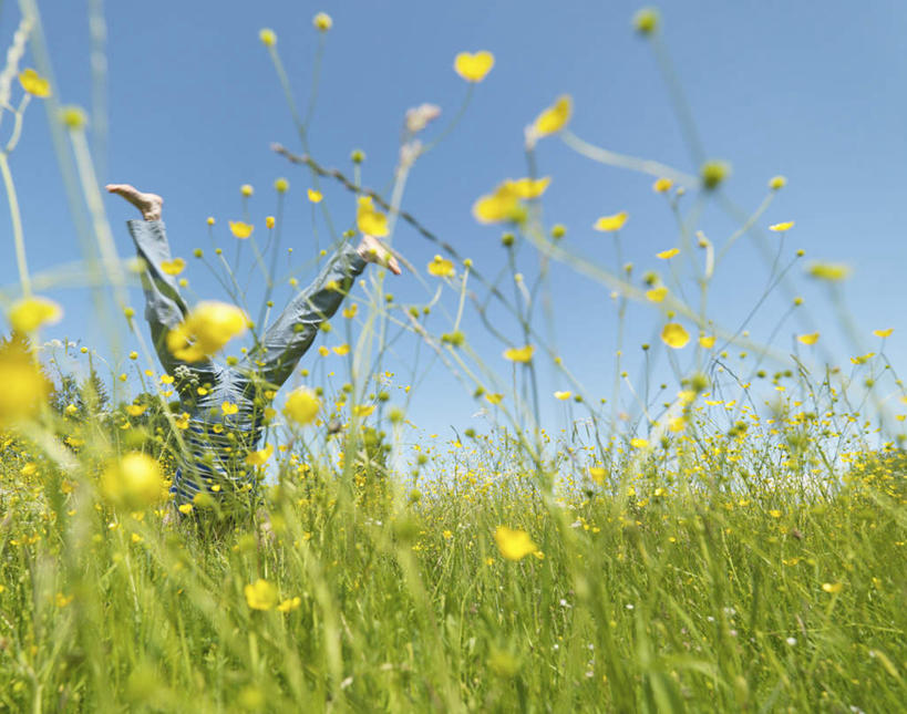 西方人,一个人,跳,横图,室外,白天,仰视,锻炼,运动,草地,草坪,花海,花圃,植物,叶子,欧洲,欧洲人,仅一个女性,仅一个人,翻,阴影,服装,朦胧,模糊,盛开,光线,影子,滚,花蕾,休闲装,光脚,草,花,花瓣,花朵,花卉,鲜花,衣服,蓝色,绿色,蓝天,天空,阳光,花丛,花束,花田,天,花苞,花蕊,休闲,赤脚,休闲服,服饰,仅一个老年女性,晴朗,翻跟斗,翻跟头,万里无云,翻筋斗,体育,老年女性,女人,女性,白种人,晴空,晴空万里,卧,半身,彩图,低角度拍摄,健身,转体