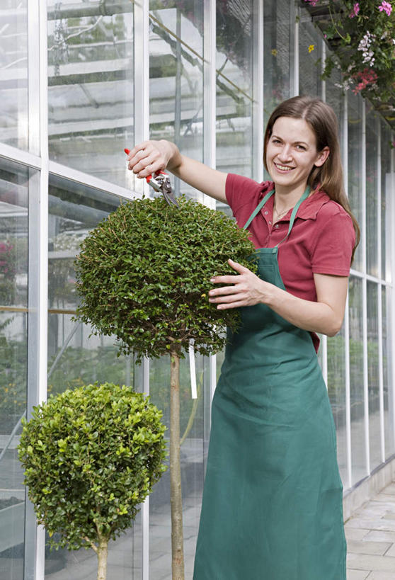西方人,一个人,商务人士,商务女性,站,笑,微笑,露齿笑,竖图,室外,白天,正面,植物,欧洲,欧洲人,仅一个女性,仅一个人,握,修剪,套装,工具,剪刀,盆栽,围裙,园艺工具,园艺,盆景,拿,温室,拿着,注视,绿色,自然,观察,看,站着,仅一个中年女性,握着,设施,生长,成长,观看,裁剪,察看,剪子,暖房,剪裁,切割,防寒,关注,加温,商务装,透光,保温,工薪阶层,篱笆剪,整篱剪,女人,女性,中年女性,白种人,白领,上班族,站立,半身,彩图
