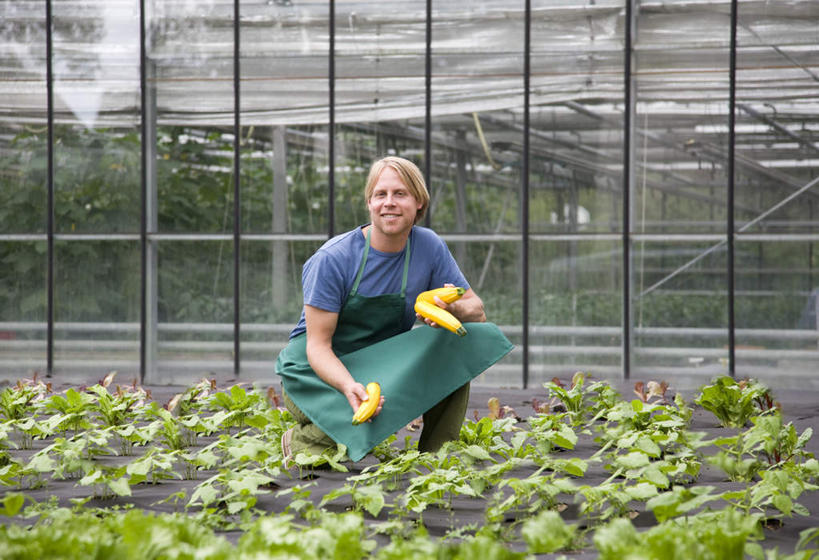 西方人,一个人,农田,蹲,笑,微笑,露齿笑,横图,室内,白天,正面,庄稼,农作物,蔬菜,欧洲,欧洲人,仅一个男性,仅一个人,仅一个中年男性,握,服装,新鲜,围裙,食品,西葫芦,拿,温室,拿着,注视,休闲装,食物,衣服,观察,看,休闲,休闲服,白瓜,握着,服饰,有机食品,绿色食品,设施,观看,察看,暖房,防寒,关注,加温,透光,保温,茭瓜,男人,男性,中年男性,白种人,蹲着,彩图,全身,耕地,庄稼田